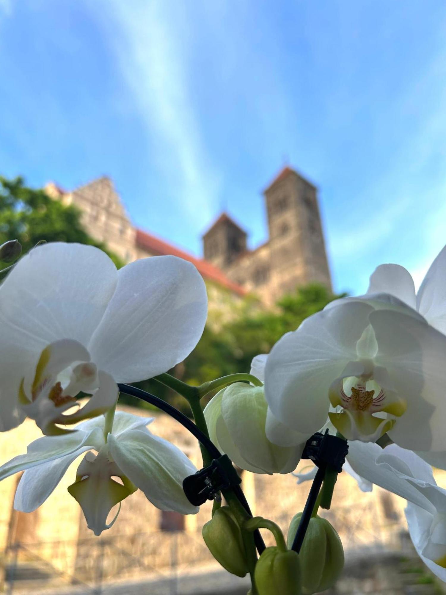 Hotel Domschatz Quedlinburg Kültér fotó